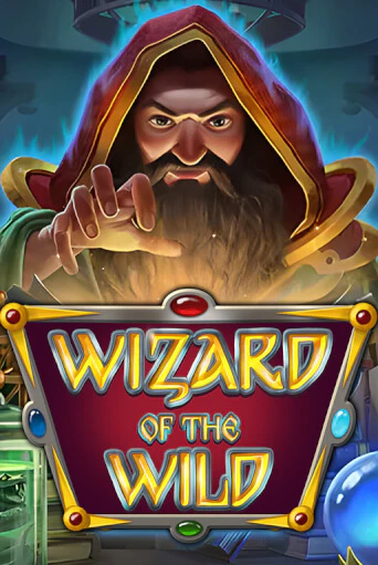 Wizard of the Wild игровой аппарат | Casino Vulkan играть бесплатно