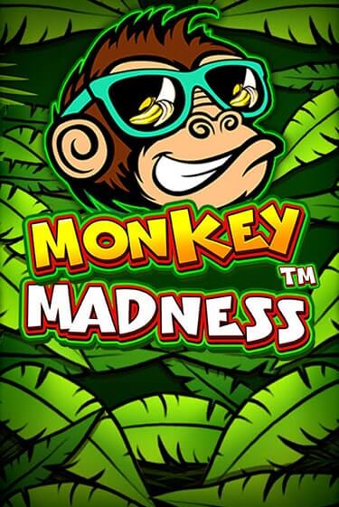 Monkey Madness игровой аппарат | Casino Vulkan играть бесплатно